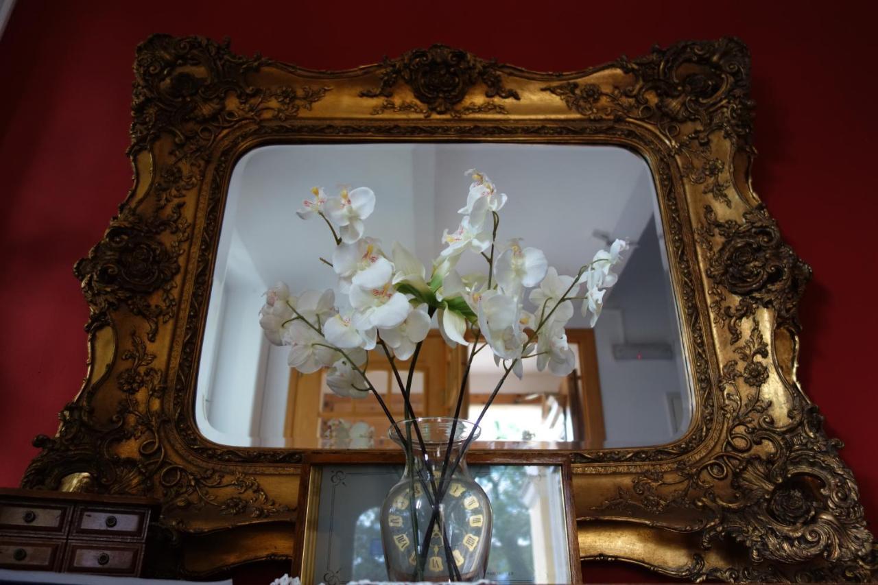 Villa Sonnenstrahl マリアーンスケー・ラーズニェ エクステリア 写真