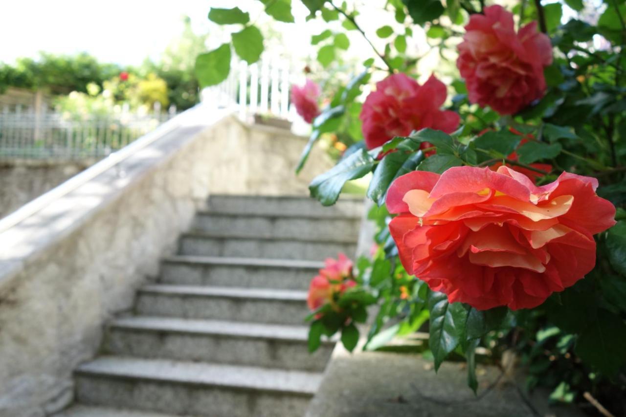 Villa Sonnenstrahl マリアーンスケー・ラーズニェ エクステリア 写真