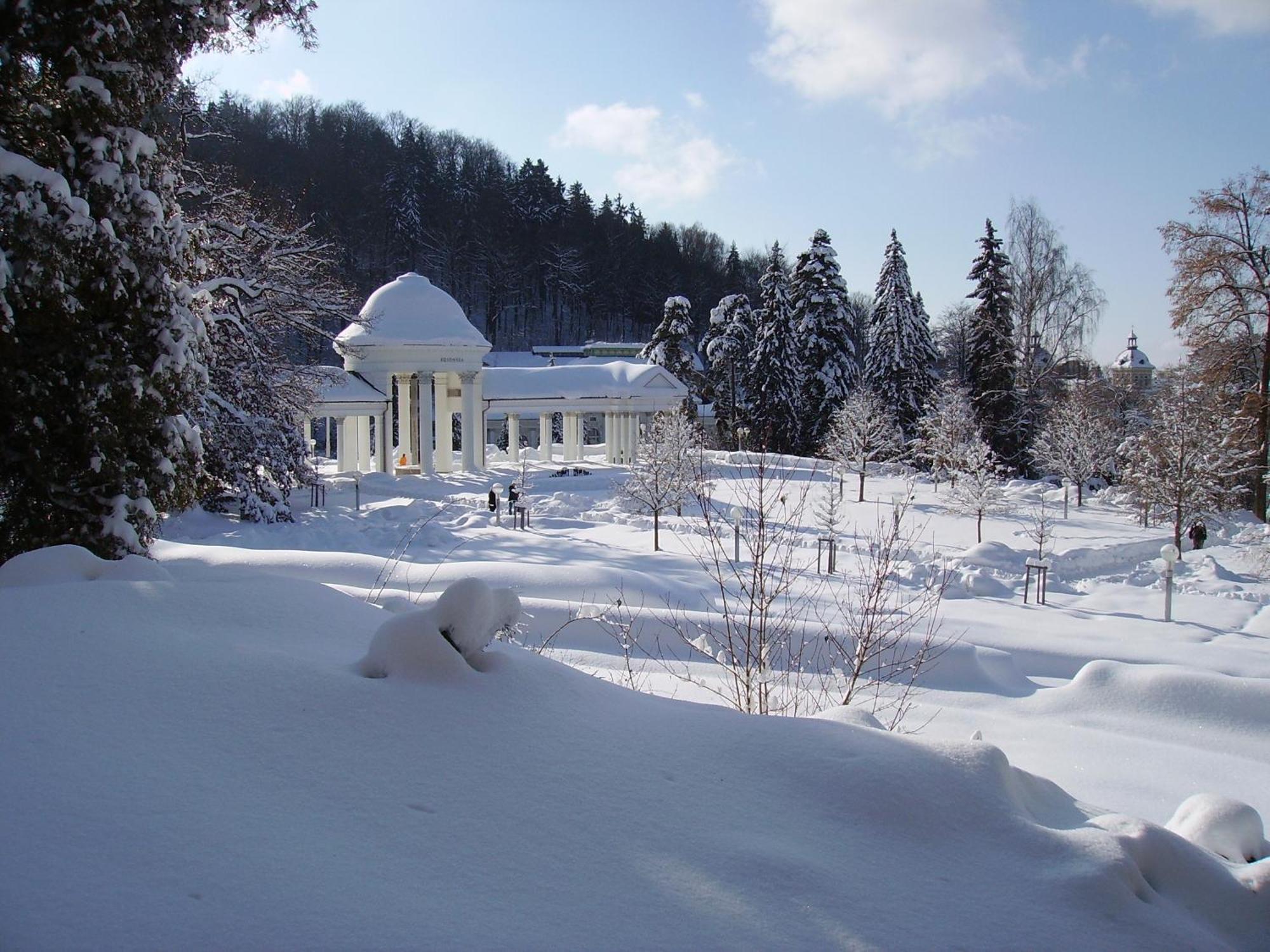 Villa Sonnenstrahl マリアーンスケー・ラーズニェ エクステリア 写真